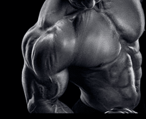 Christian Thibaudeau - Maximum muscle mass program