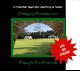 John Overdurf - Changing Perspectives through the Rhizome