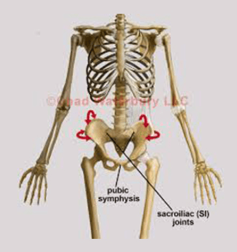 Postural Restoration Institute - Pelvis Restoration 2017