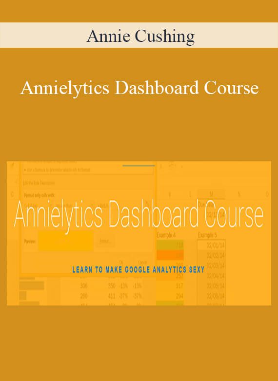 Annie Cushing - Annielytics Dashboard Course