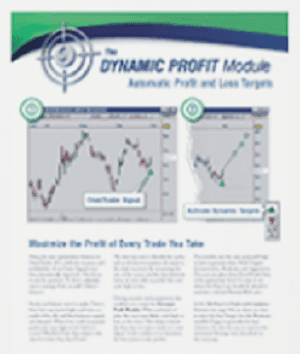 Dynamic Profit Module