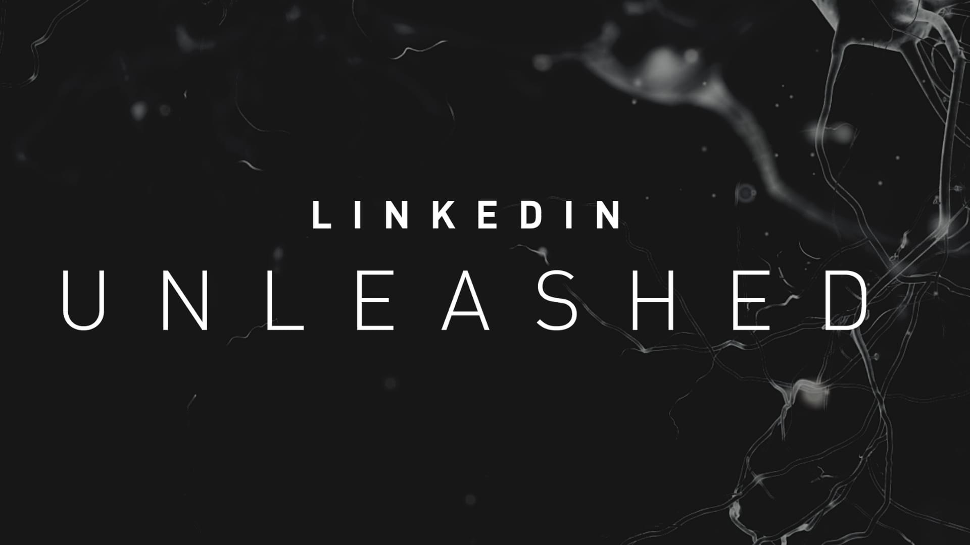 Natasha Vilaseca - LinkedIn Unleashed