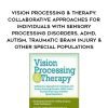 [Download Now] Vision Processing & Therapy: Collaborative Approaches for Individuals with Sensory Processing Disorders, ADHD, Autism, Traumatic Brain Injury & Other Special Populations - Christine Winter-Rundell