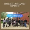 NINETILFOREVER - FOREIGN EXCHANGE TRADING