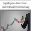 Daytradingzones – Master Fibonacci, Symmetry & Consistent Profitable Trading