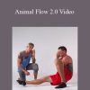 Animal Flow 2.0 Video