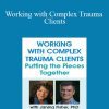 Janina Fisher, Frank Anderson - Working with Complex Trauma Clients Putting the Pieces Together with Janina Fisher, PhD and Frank Anderson, MD