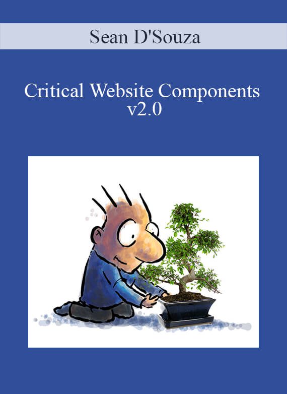 Sean D'Souza - Critical Website Components v2.0