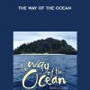 The Way of the Ocean - Medwyn Goodall