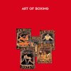 Art of Boxing - Jim McCann