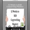 12 Weeks to B2B Copywriting Mastery - AWAI