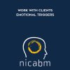 [Download Now] Nicabm - Work with Clients Emotional Triggers