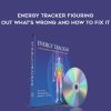 [Pre-Order] Donna Eden – Energy Tracker Figuring Out What’s Wrong and How to Fix It