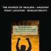 [Download Now] The Source Of Healing - Anatomy - Point Location - Bioelectricity