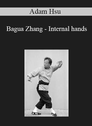 Adam Hsu - Bagua Zhang - Internal hands