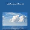 Adyashanti - Abiding Awakeness