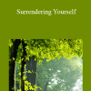 Adyashanti - Surrendering Yourself