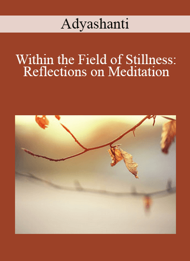 Adyashanti - Within the Field of Stillness: Reflections on Meditation