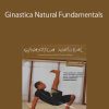 Alvaro Romano – Ginastica Natural Fundamentals