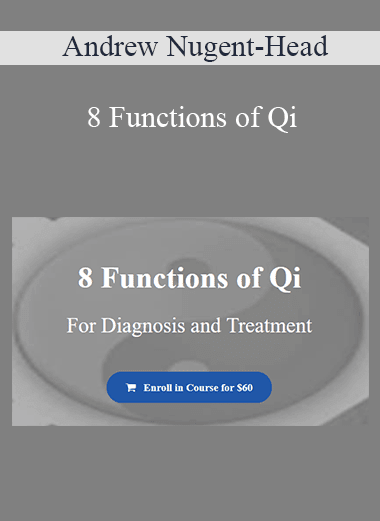 Andrew Nugent-Head - 8 Functions of Qi