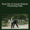 Andrew Nugent - Head The 64 Attack Methods Penetrating Palm