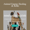 Angie Webster - Animal Energy Healing & Reiki