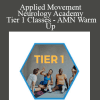 Applied Movement Neurology Academy - Tier 1 Classes - AMN Warm Up - David Fleming