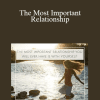 Arash Dibazar - The Most Important Relationship