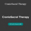 Ariana Vincent - CranioSacral Therapy