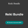 Ariana Vincent - Reiki Bundle