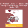 [Audio Download] BT02 Short Course 18 - Brief Multi-Family Group Therapy Workshops: A New Solution for Our Times - Charles Bruder