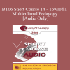 [Audio Download] BT06 Short Course 14 - Toward a Multicultural Pedagogy: Bringing Diversity-Mindedness in Family Therapy into Family Therapy Graduate Training Programs - Debra Ann Nixon