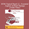 [Audio Download] BT06 Topical Panel 12 - Essential Aspects of Brief Therapy - Steve Andreas