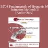 [Audio Download] BT08 Fundamentals of Hypnosis 05 - Induction Methods II: Three Novel Approaches to the Induction of Therapeutic Hypnosis - Ernest Rossi