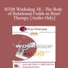 [Audio Download] BT08 Workshop 38 - The Role of Relational Fields in Brief Therapy - Robert Dilts