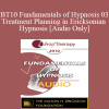 [Audio Download] BT10 Fundamentals of Hypnosis 03 - Treatment Planning in Ericksonian Hypnosis: The Class of Problems/Class of Solutions Model - Bill O’Hanlon