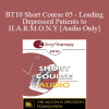 [Audio Download] BT10 Short Course 05 - Leading Depressed Patients to H.A.R.M.O.N.Y - Consuelo Casula