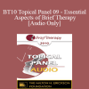 [Audio Download] BT10 Topical Panel 09 - Essential Aspects of Brief Therapy - Steve Andreas