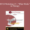 [Audio Download] BT10 Workshop 15 - “What Works” in Therapy: Translating 40 years of Outcome Research into Strategies for Effective Clinical Practice - Scott Miller