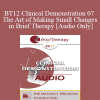 [Audio Download] BT12 Clinical Demonstration 07 - The Art of Making Small Changes in Brief Therapy - Bill O’Hanlon