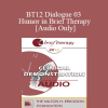 [Audio Download] BT12 Dialogue 03 - Humor in Brief Therapy - Steve Andreas