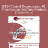 [Audio Download] BT14 Clinical Demonstration 02 - Transforming Grief into Gratitude - Steve Andreas