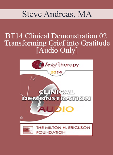 [Audio Download] BT14 Clinical Demonstration 02 - Transforming Grief into Gratitude - Steve Andreas