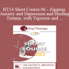 [Audio Download] BT14 Short Course 06 - Zapping Anxiety and Depression and Healing Trauma