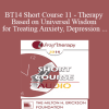 [Audio Download] BT14 Short Course 11 - Therapy Based on Universal Wisdom for Treating Anxiety