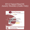 [Audio Download] BT14 Topical Panel 06 - Anxiety Disorders - Reid Wilson