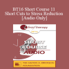 [Audio Download] BT16 Short Course 11 - Short Cuts to Stress Reduction - Helen Adrienne