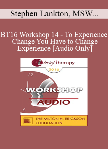 [Audio Download] BT16 Workshop 14 - To Experience Change You Have to Change Experience - Stephen Lankton