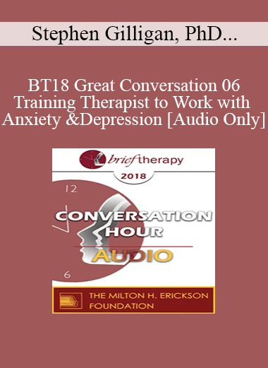 [Audio Download] BT18 Great Conversation 06 - Training Therapist to Work with Anxiety and Depression - Stephen Gilligan