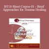 [Audio Download] BT18 Short Course 01 - Brief Approaches for Trauma Healing: Navigating Chaos